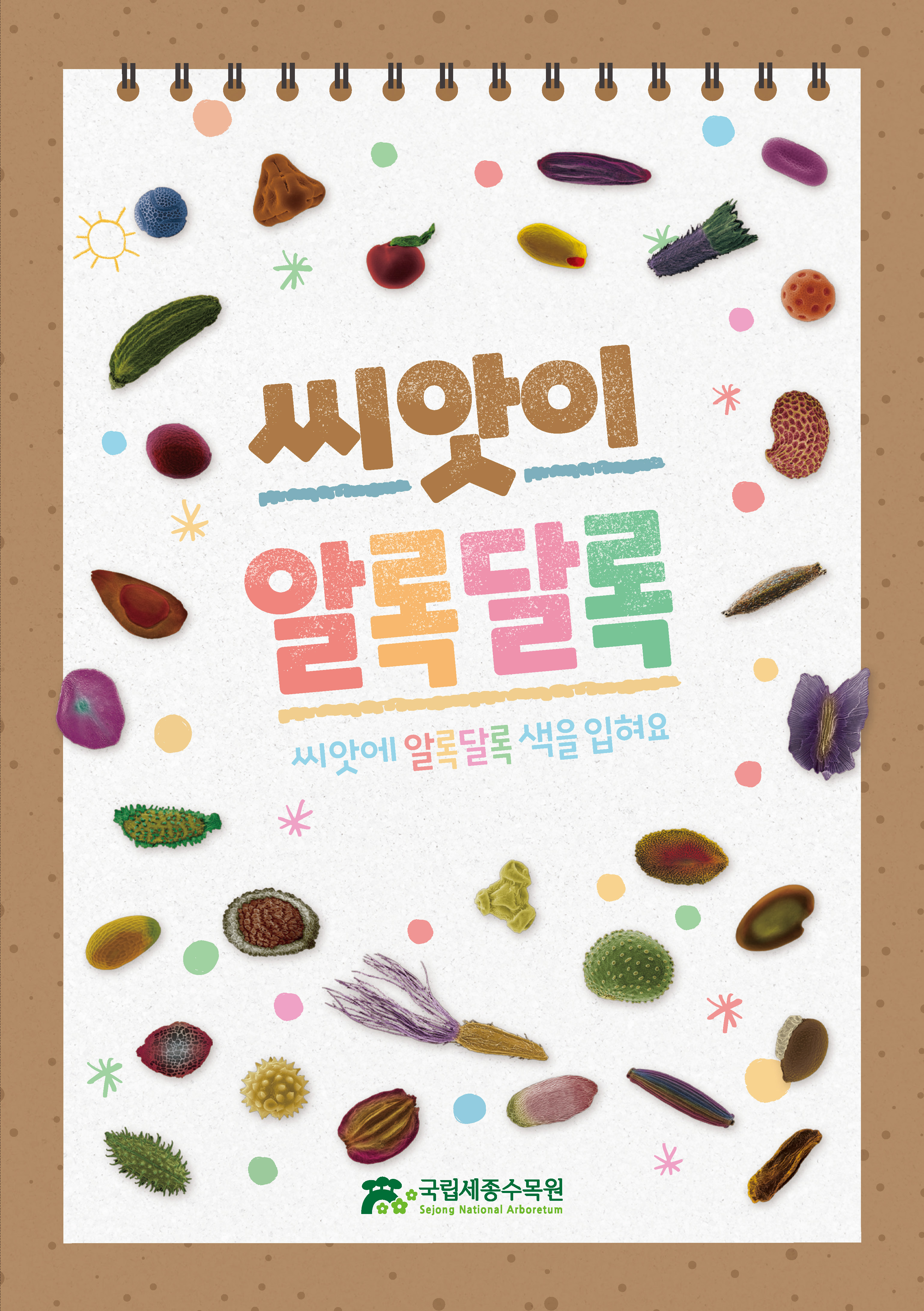 전시연계-씨앗이 알록달록